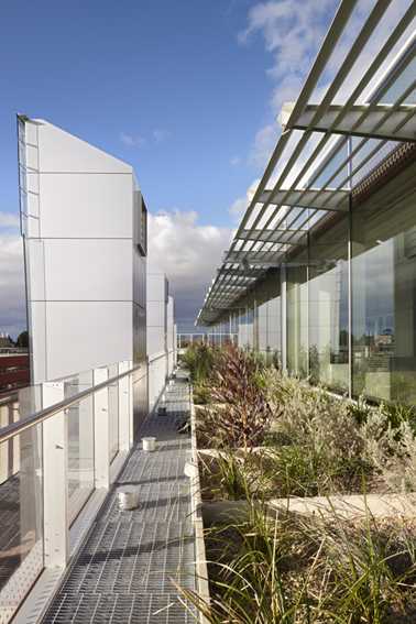 High rise garden in an Adelaide city building